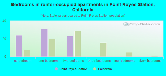 Bedrooms in renter-occupied apartments in Point Reyes Station, California