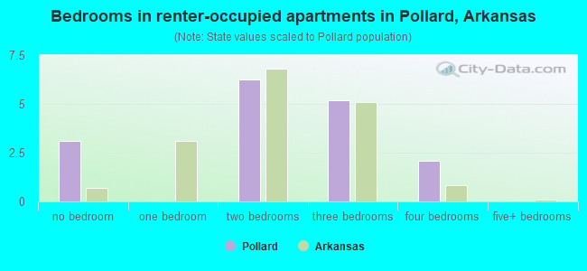 Bedrooms in renter-occupied apartments in Pollard, Arkansas