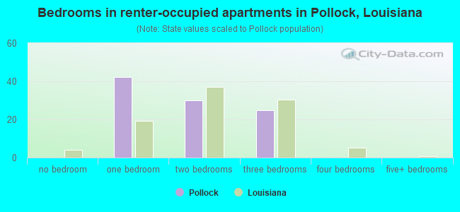 Bedrooms in renter-occupied apartments in Pollock, Louisiana