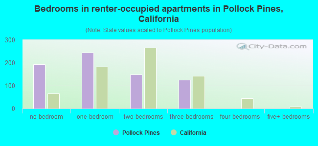Bedrooms in renter-occupied apartments in Pollock Pines, California