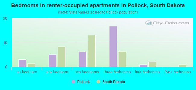 Bedrooms in renter-occupied apartments in Pollock, South Dakota