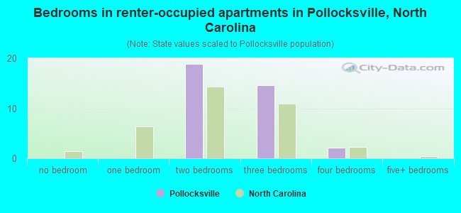 Bedrooms in renter-occupied apartments in Pollocksville, North Carolina