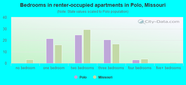Bedrooms in renter-occupied apartments in Polo, Missouri