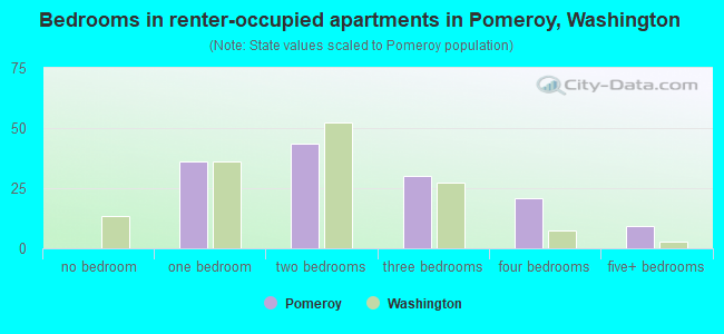 Bedrooms in renter-occupied apartments in Pomeroy, Washington