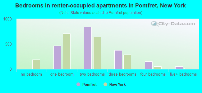 Bedrooms in renter-occupied apartments in Pomfret, New York