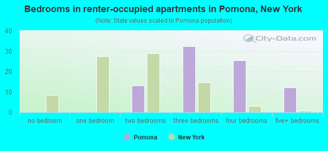 Bedrooms in renter-occupied apartments in Pomona, New York