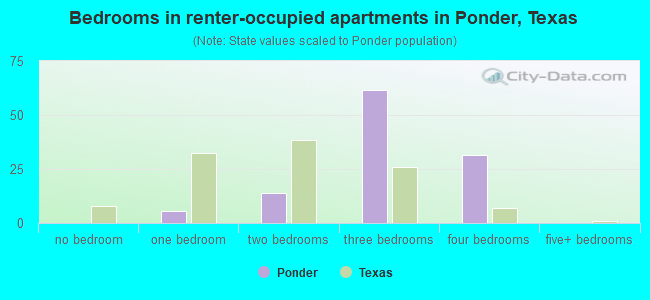 Bedrooms in renter-occupied apartments in Ponder, Texas