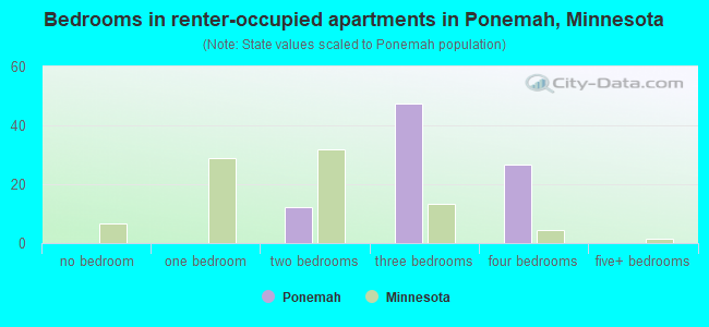 Bedrooms in renter-occupied apartments in Ponemah, Minnesota