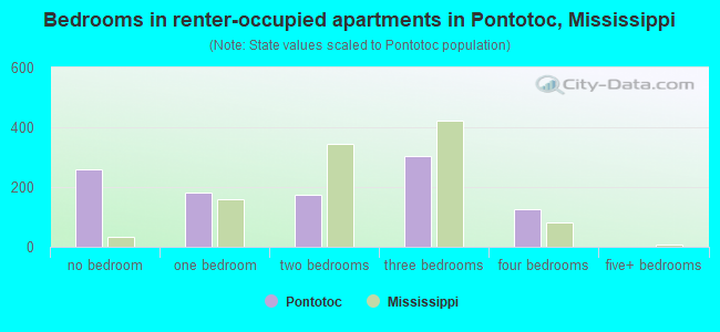 Bedrooms in renter-occupied apartments in Pontotoc, Mississippi