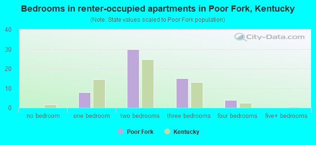 Bedrooms in renter-occupied apartments in Poor Fork, Kentucky