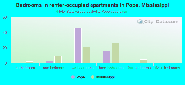 Bedrooms in renter-occupied apartments in Pope, Mississippi