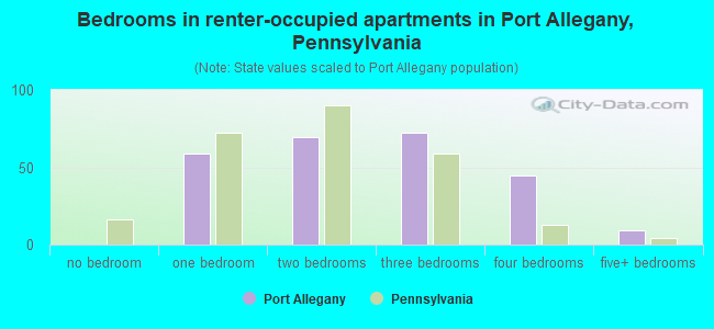 Bedrooms in renter-occupied apartments in Port Allegany, Pennsylvania