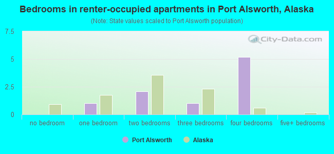 Bedrooms in renter-occupied apartments in Port Alsworth, Alaska