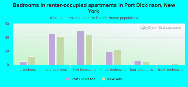 Bedrooms in renter-occupied apartments in Port Dickinson, New York