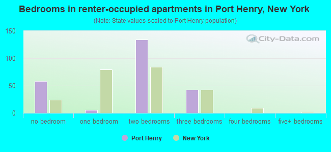 Bedrooms in renter-occupied apartments in Port Henry, New York