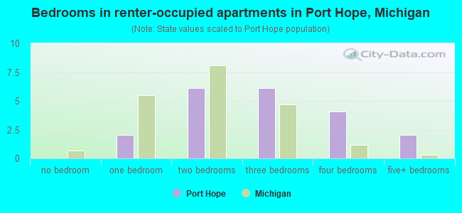 Bedrooms in renter-occupied apartments in Port Hope, Michigan