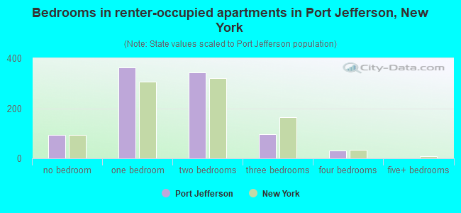 Bedrooms in renter-occupied apartments in Port Jefferson, New York