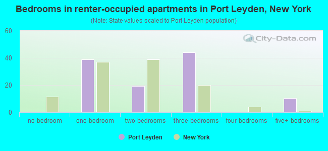 Bedrooms in renter-occupied apartments in Port Leyden, New York
