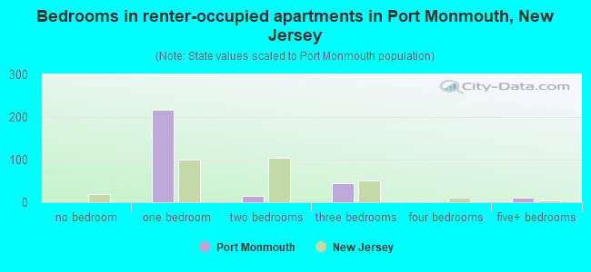 Bedrooms in renter-occupied apartments in Port Monmouth, New Jersey