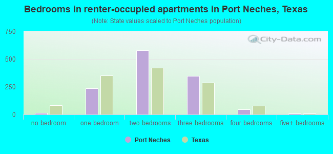 Bedrooms in renter-occupied apartments in Port Neches, Texas