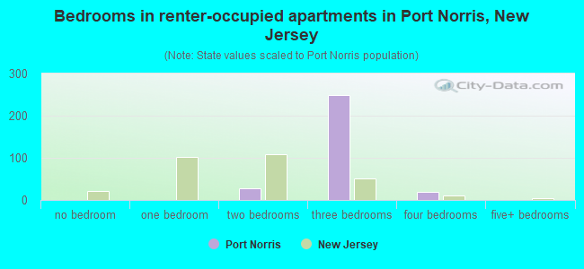 Bedrooms in renter-occupied apartments in Port Norris, New Jersey