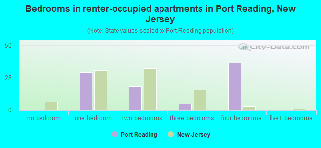 Bedrooms in renter-occupied apartments in Port Reading, New Jersey
