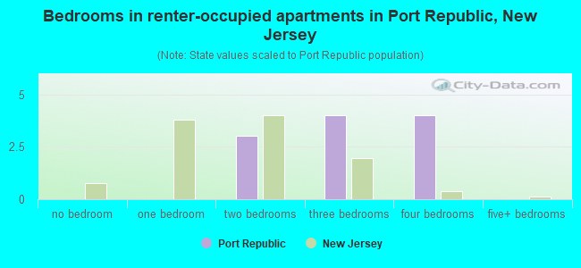 Bedrooms in renter-occupied apartments in Port Republic, New Jersey