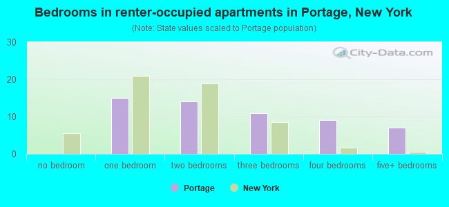 Bedrooms in renter-occupied apartments in Portage, New York