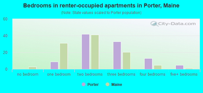 Bedrooms in renter-occupied apartments in Porter, Maine
