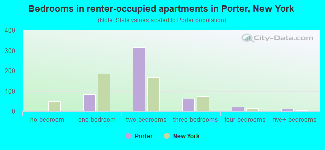 Bedrooms in renter-occupied apartments in Porter, New York