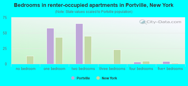 Bedrooms in renter-occupied apartments in Portville, New York
