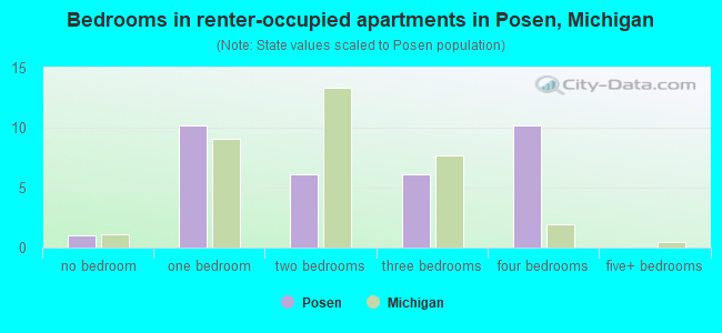 Bedrooms in renter-occupied apartments in Posen, Michigan