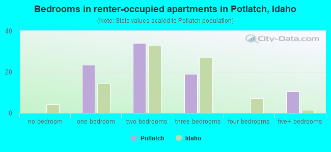Bedrooms in renter-occupied apartments in Potlatch, Idaho