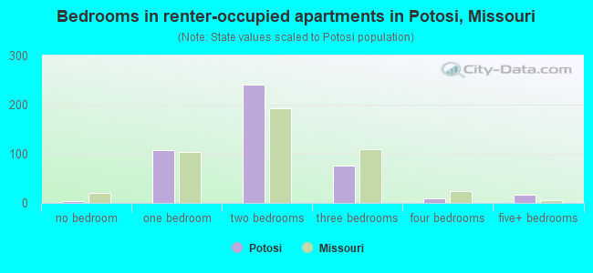 Bedrooms in renter-occupied apartments in Potosi, Missouri