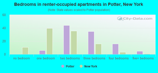 Bedrooms in renter-occupied apartments in Potter, New York