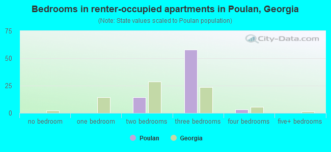 Bedrooms in renter-occupied apartments in Poulan, Georgia
