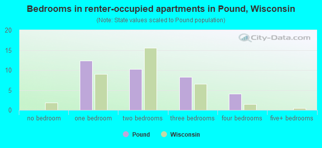 Bedrooms in renter-occupied apartments in Pound, Wisconsin