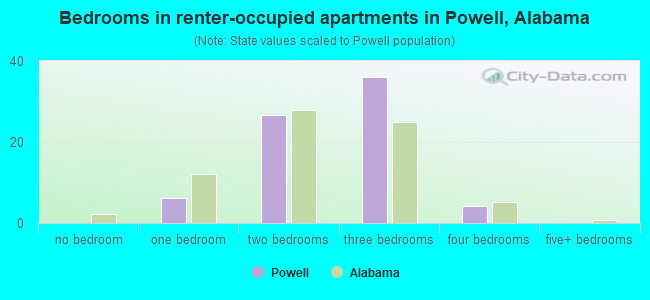 Bedrooms in renter-occupied apartments in Powell, Alabama