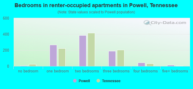 Bedrooms in renter-occupied apartments in Powell, Tennessee