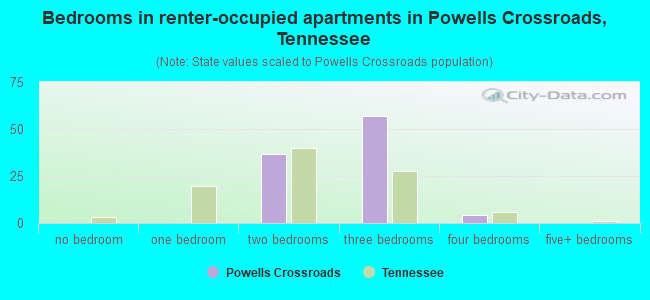 Bedrooms in renter-occupied apartments in Powells Crossroads, Tennessee