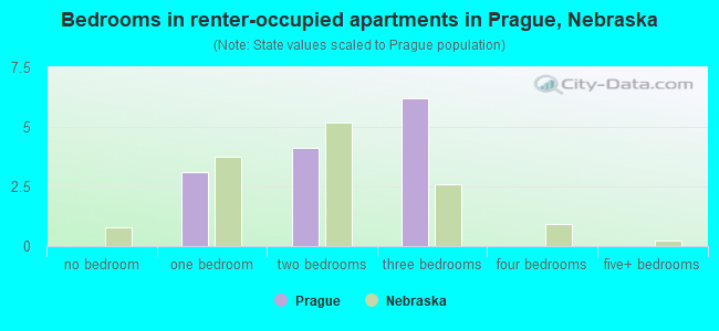 Bedrooms in renter-occupied apartments in Prague, Nebraska