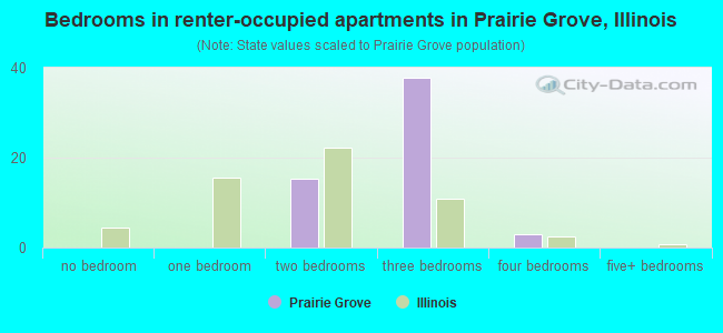 Bedrooms in renter-occupied apartments in Prairie Grove, Illinois