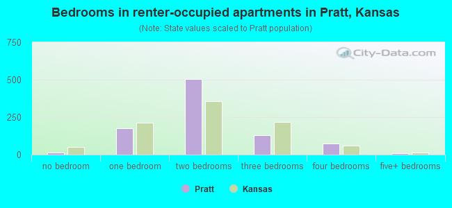Bedrooms in renter-occupied apartments in Pratt, Kansas