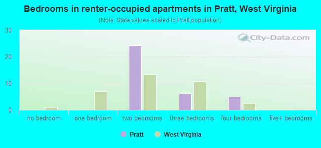 Bedrooms in renter-occupied apartments in Pratt, West Virginia