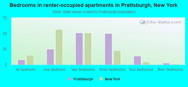 Bedrooms in renter-occupied apartments in Prattsburgh, New York