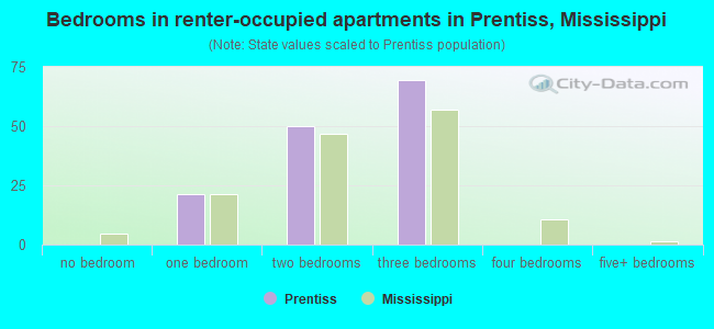 Bedrooms in renter-occupied apartments in Prentiss, Mississippi