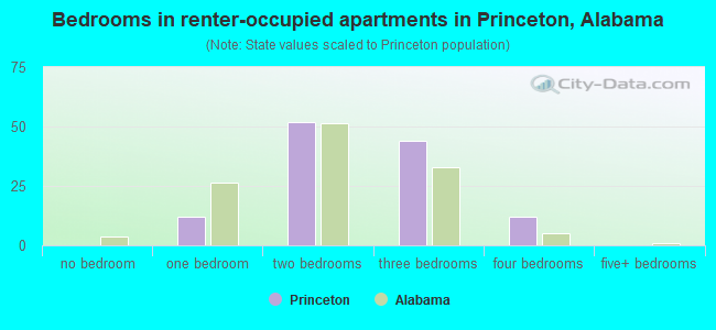 Bedrooms in renter-occupied apartments in Princeton, Alabama