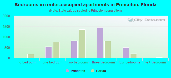 Bedrooms in renter-occupied apartments in Princeton, Florida