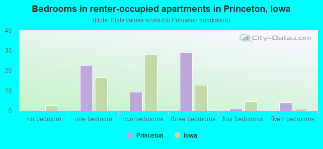 Bedrooms in renter-occupied apartments in Princeton, Iowa