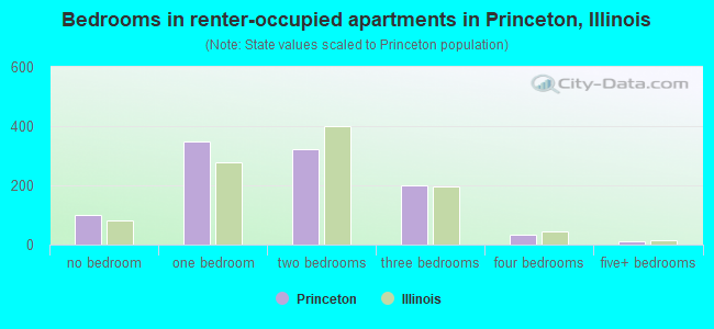 Bedrooms in renter-occupied apartments in Princeton, Illinois